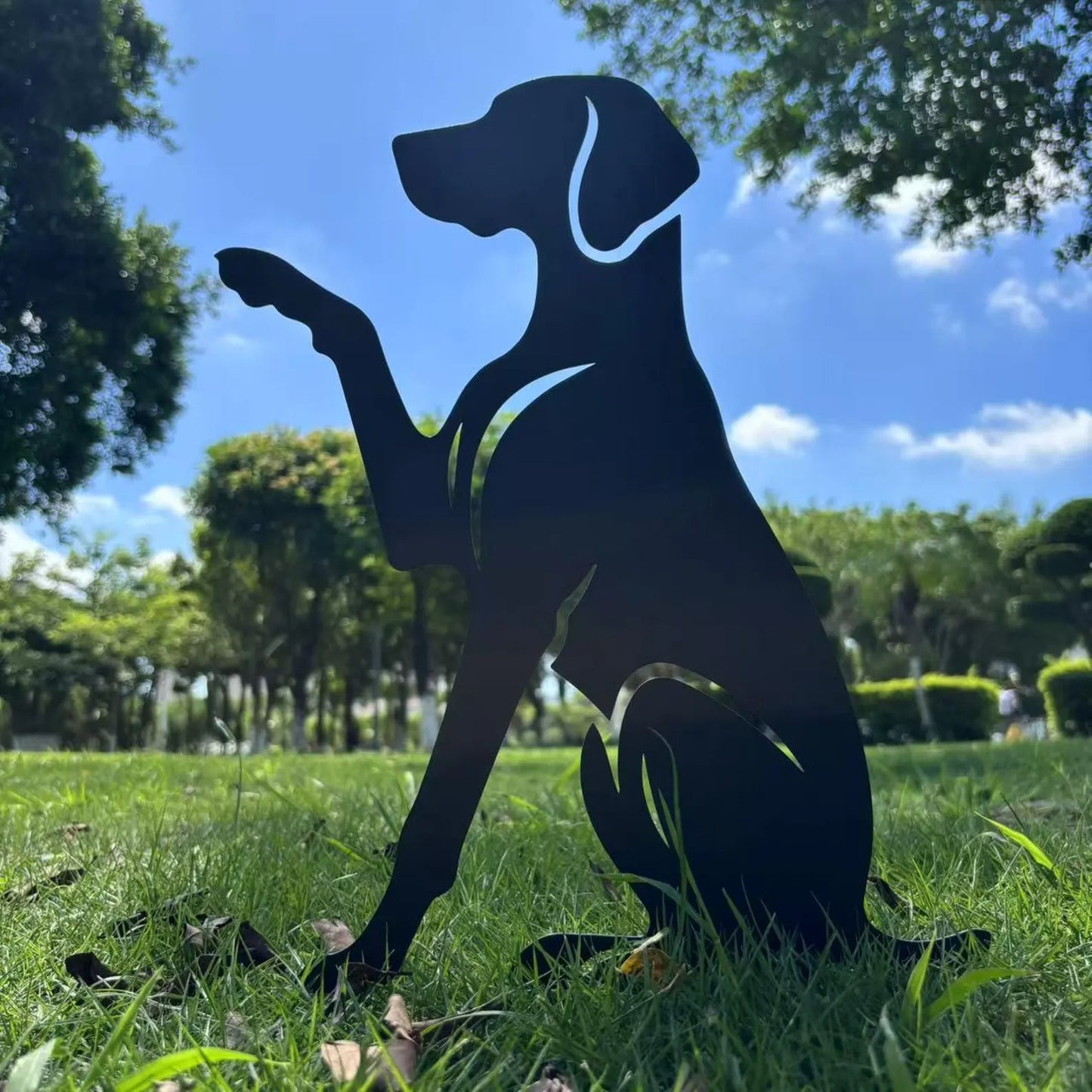 German Shorthaired Pointer High Five