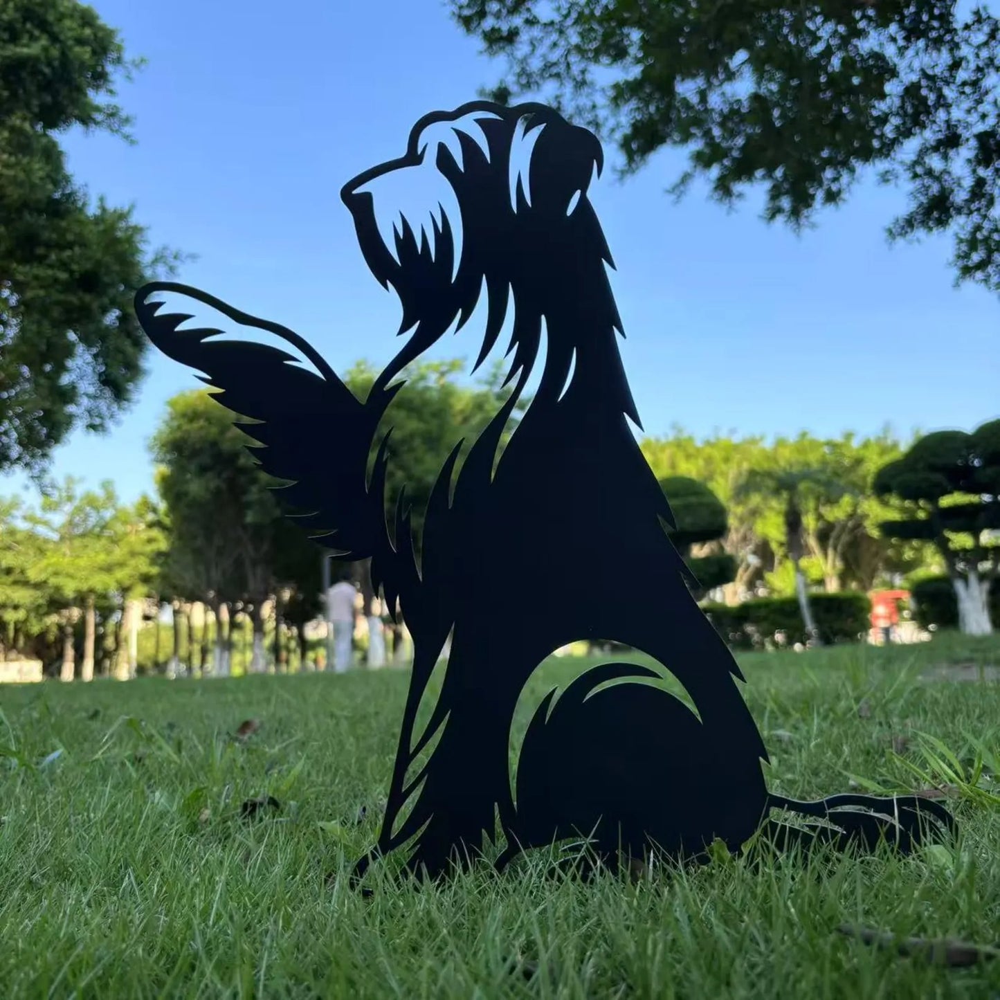 Bearded Collie High Five