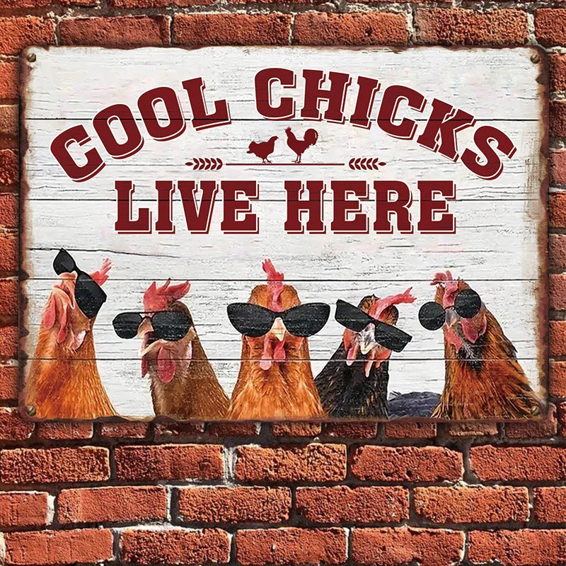 Chicken Coop Sign - Cool Chicks Live Here Metal Signs