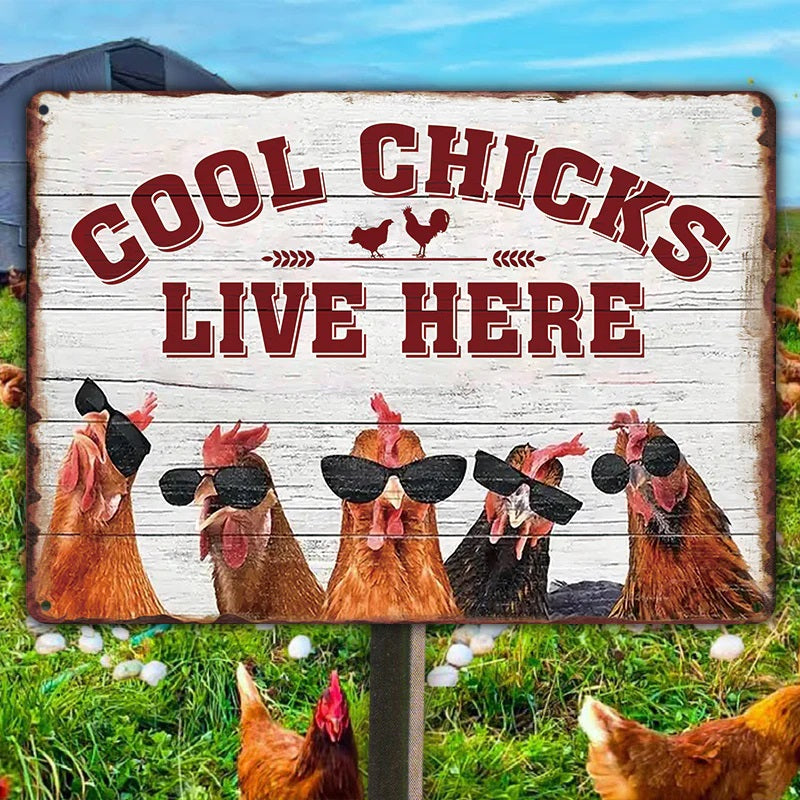 Chicken Coop Sign - Cool Chicks Live Here Metal Signs