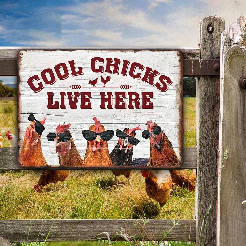 Chicken Coop Sign - Cool Chicks Live Here Metal Signs