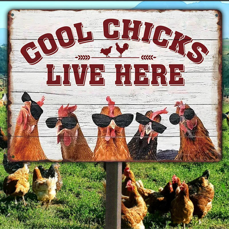 Chicken Coop Sign - Cool Chicks Live Here Metal Signs