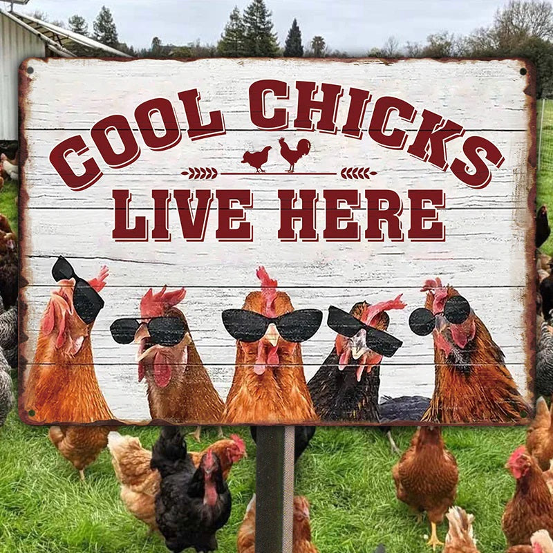 Chicken Coop Sign - Cool Chicks Live Here Metal Signs