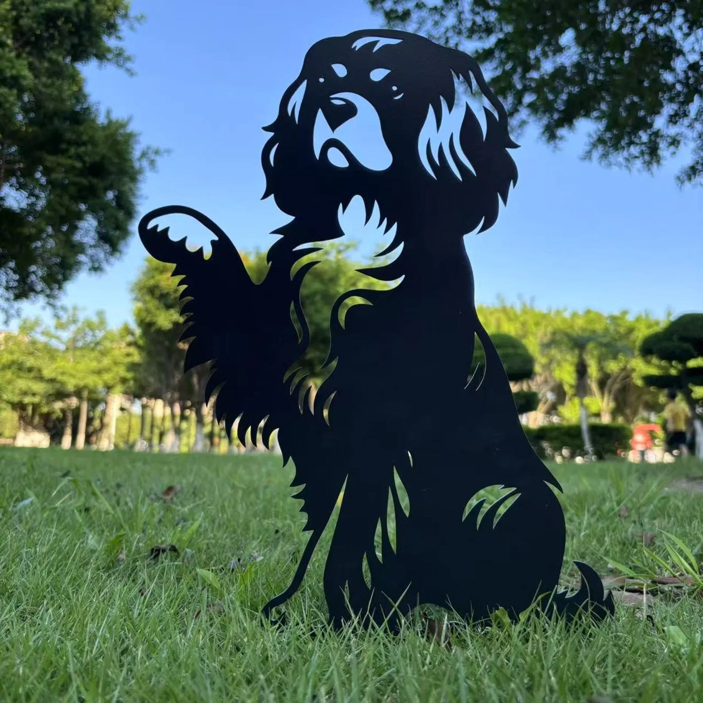 Cavalier King Charles Spaniel High Five
