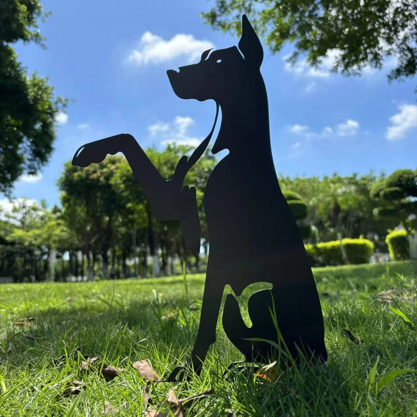 Doberman Pinscher High Five